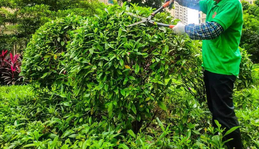 米乐：专业网球拍百宝力