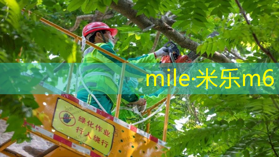 米乐m6官网：篮球传球反弹器材
