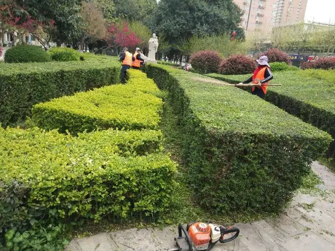 米乐：乒乓球台器材系列
