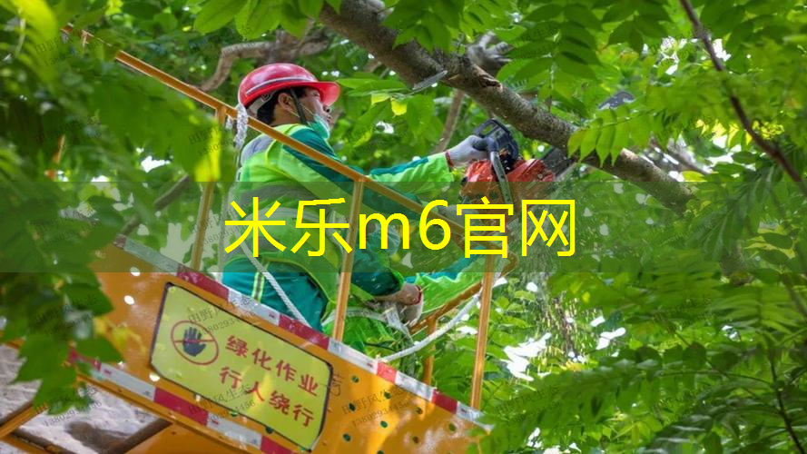 米乐m6官网登录入口：一次学会！背板如何快速且牢固地悬挂在篮球架上