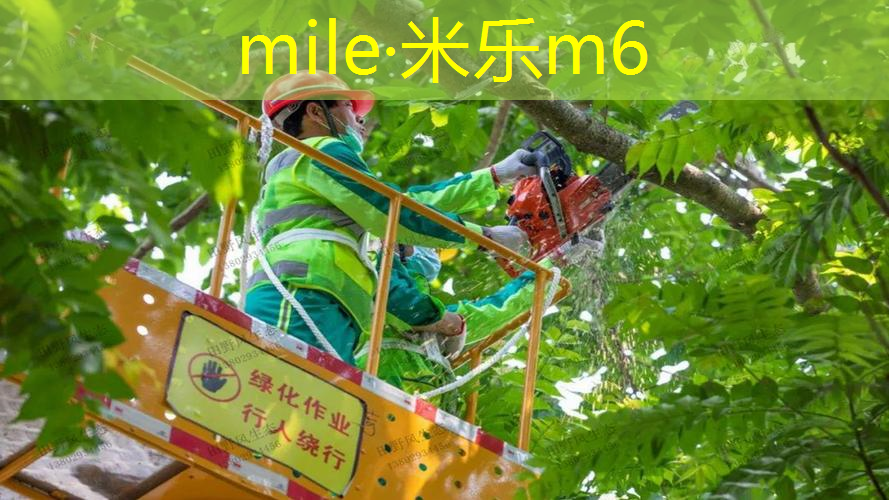 米乐m6官网登录入口：紧凑型健身器械推荐：在家也能获得完美身材