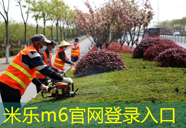 mile·米乐m6：乒乓球台面用啥材料好