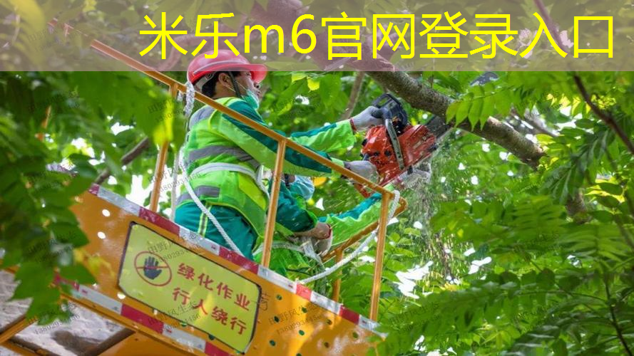 篮球传球反弹器材