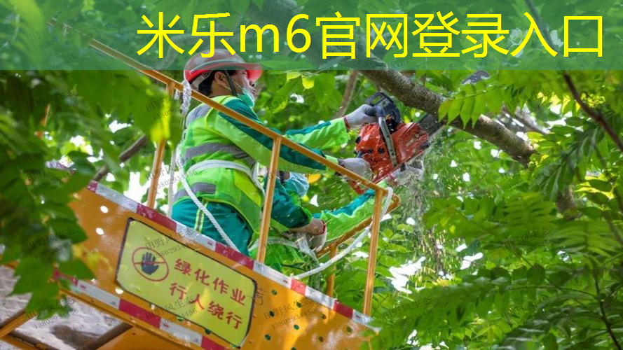 飞跃人生，起飞之前必修的室外体育健身器材单杠课程！