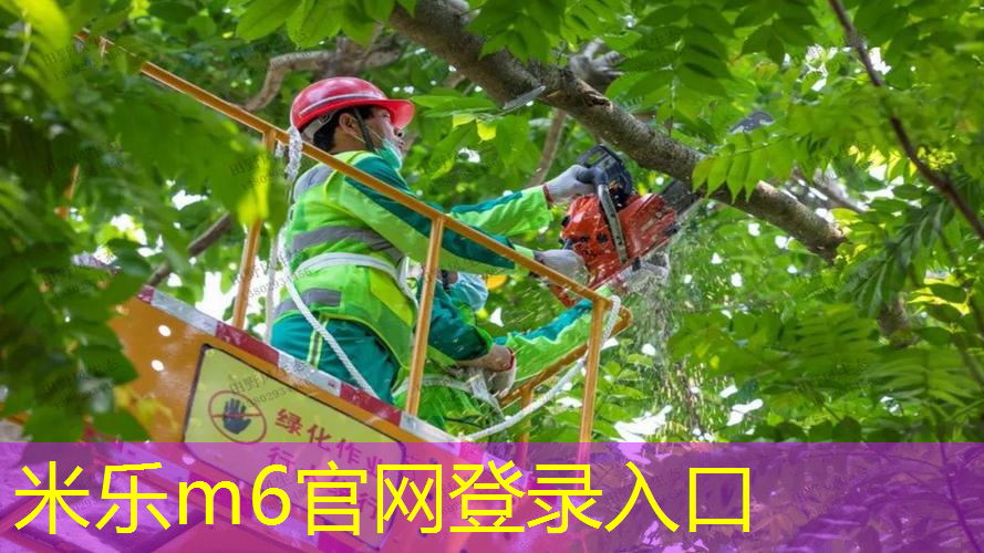 一次学会！背板如何快速且牢固地悬挂在篮球架上