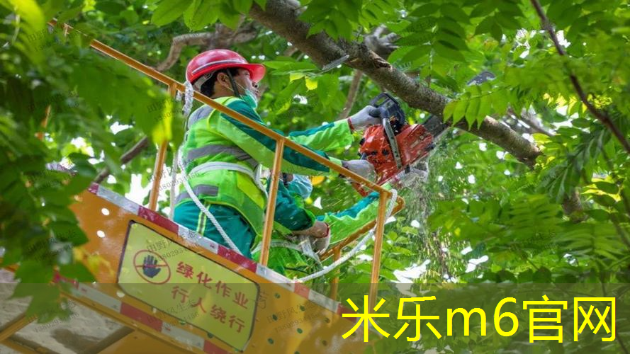 紧凑型健身器械推荐：在家也能获得完美身材